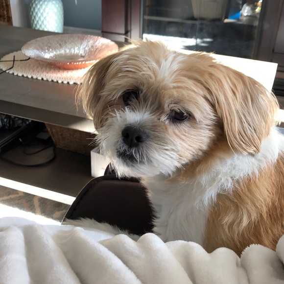 Meet your Posher, Heather - Picture 1 of 1